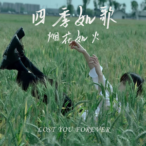 四季如歌烟花如火