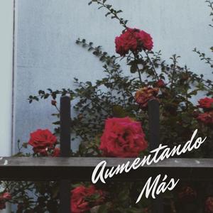 Aumentando Más (B)
