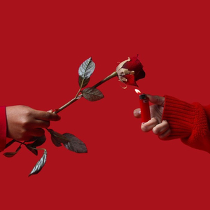 相认相爱后的释怀