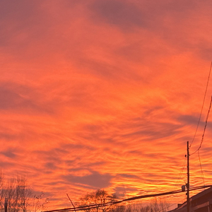 你是人间一场无声的雪