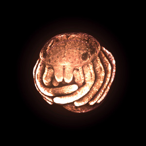 Issues (feat. Gnucci)