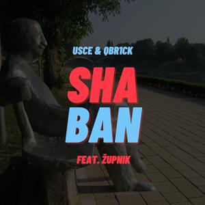 Shaban (feat. Župnik)