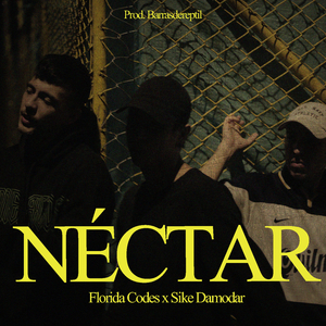 Néctar