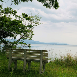 透明少女と九月の蒼 (Acoustic ver.)