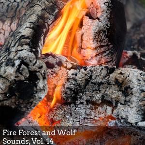 Atmospheric Wolves Sound