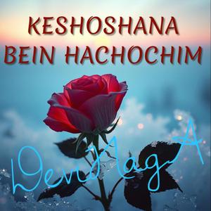 KESHOSHANA BEIN HACHOCHIM