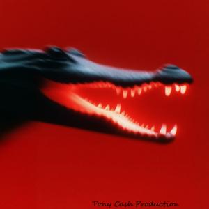 Bauch (Sneaky BoomBap Beat)