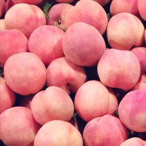 l know you want go where