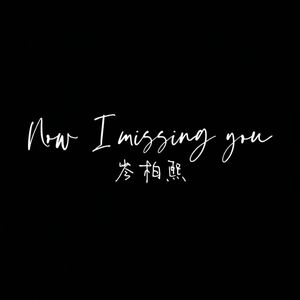 Now I Missing you