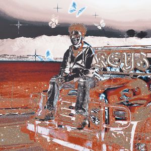 耍起flex（pord.yon)