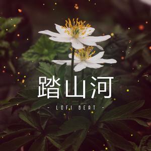踏山河 (Lofi Beat)