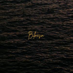 Bilmesin