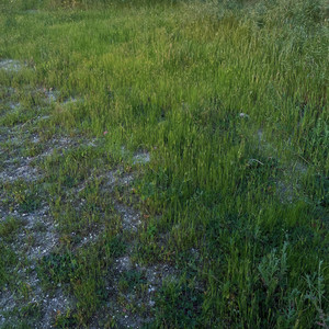 do i have a cold heart