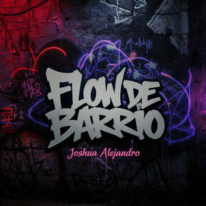 Flow de Barrio