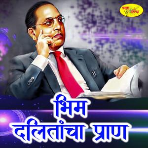 Bhim Dalitancha Pran
