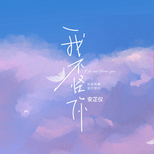 我不怪你