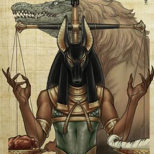 【FREE】阿努比斯