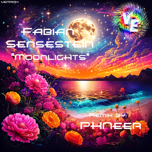 Moonlights (PKNeer Radio Edit)