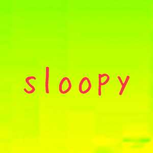 sloppy