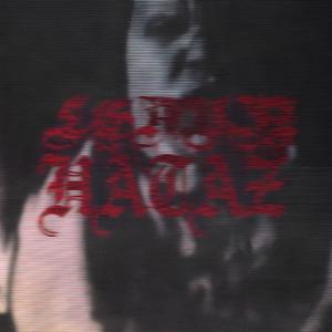 LEAVIN HATAZ (feat. Scott Romosa)