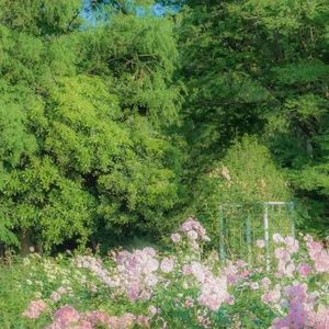 未完待续的秘密