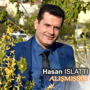 Alışmışsın