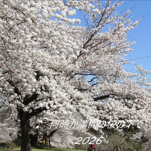 何時か満開の桜の下で (2026 Remix)