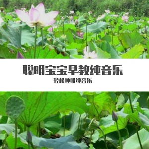 萤火之森幻想曲（经典纯音乐）