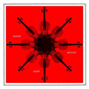 I. Allegro non troppo