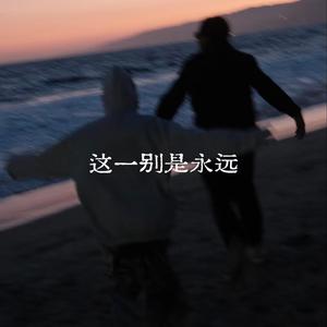 这一别是永远