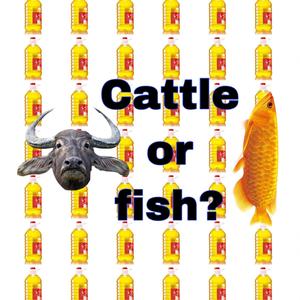 kill the fish（Prod by red killer）