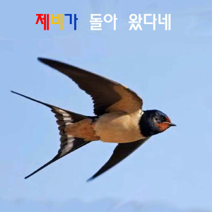 제비가 돌아 왔다네