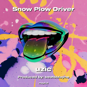 Plow Driver