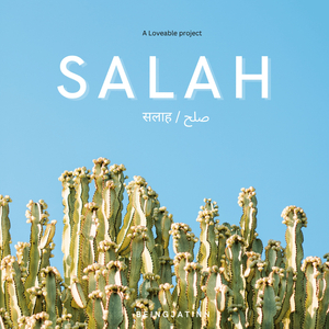 Salah (Live)