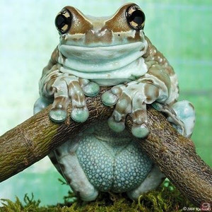 Küçük Bir Yol (Sped Up)