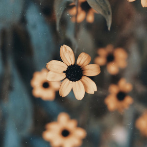 Relaxar (Original Mix)