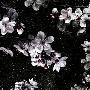 你说浪漫是下雪的夜