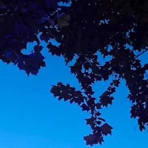 "Free"|Sad piano story telling beat "失眠"