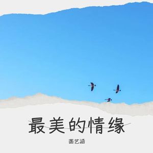 最美的情缘