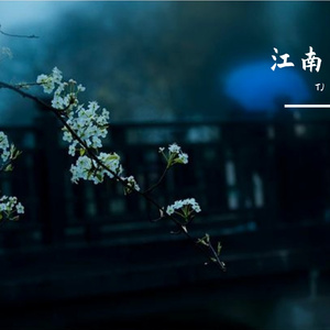 江南（温柔御姐版）