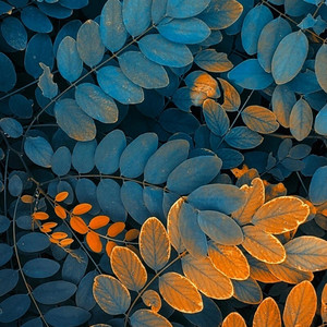 藏着谁的旧容颜 (1)