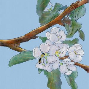 小桃灼灼柳鬖鬖，向阳花木易为春(序曲)