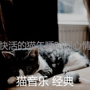 柔和的猫时刻