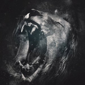 五月花环球俱乐部单曲