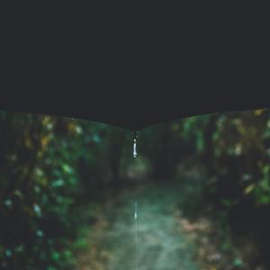 林叶（Original Mix）