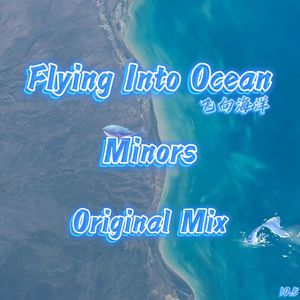 Flying Into Ocean（飞向海洋）