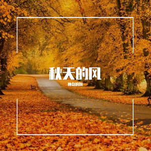 秋天的风