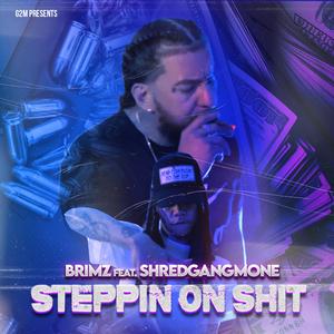 Steppin On Shit (feat. ShredGangMone)