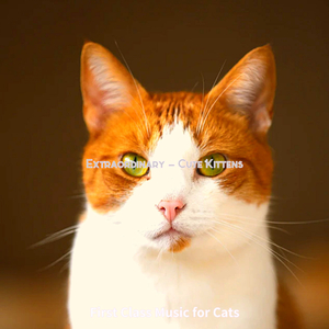 Relaxing (Relaxing Cats)