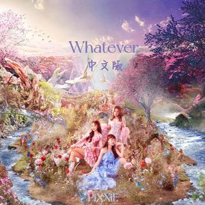 ไม่ได้ก็ไม่เอา Whatever（中文版）